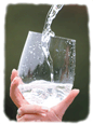 Drinking water filters and water treatment systems, counter-top, shower, under sink and reverse osmosis water purification systems.